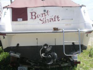 engine surveys